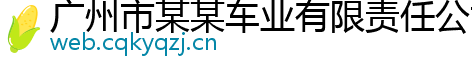 广州市某某车业有限责任公司